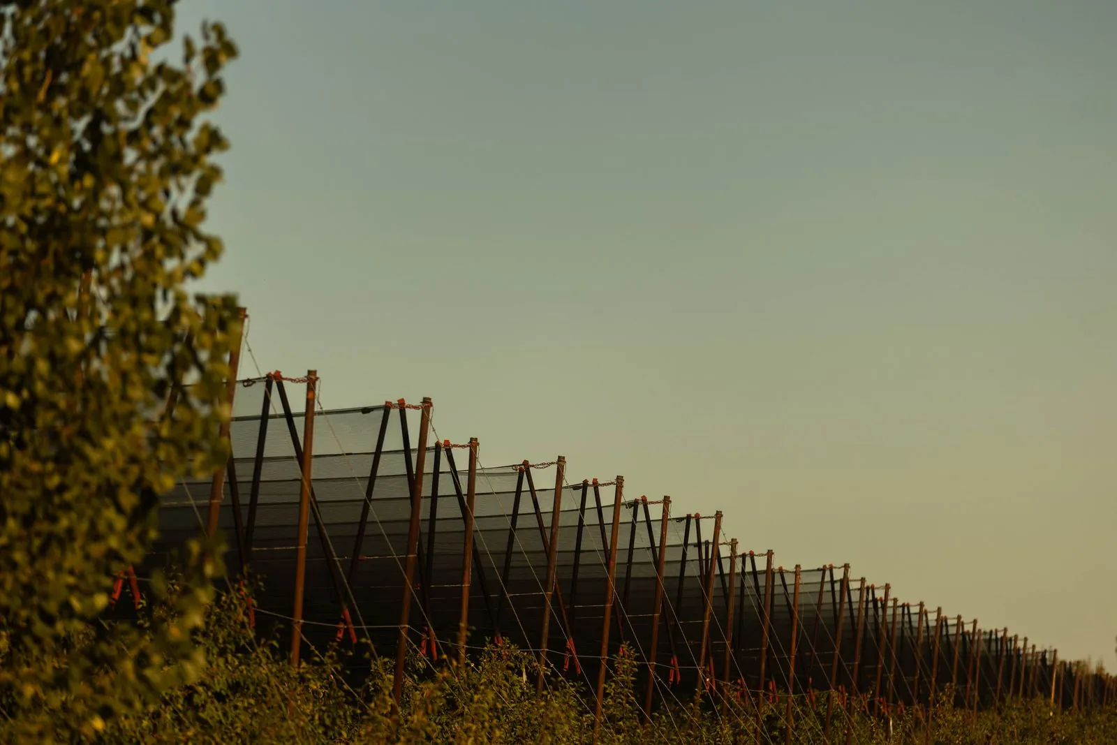 Galería PRUNIQ 3