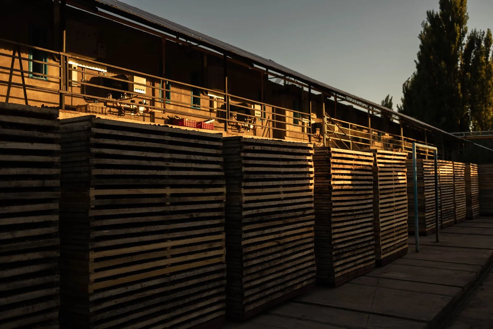 Galería PRUNIQ 4